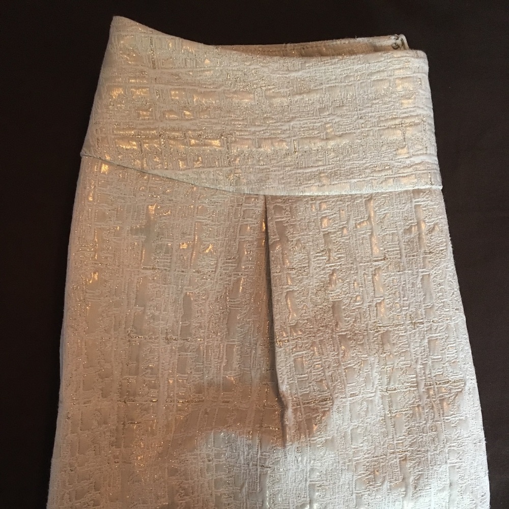 NWT Merona Gold Skirt